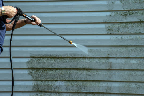 Best Deck Cleaning Services  in Oswego, KS